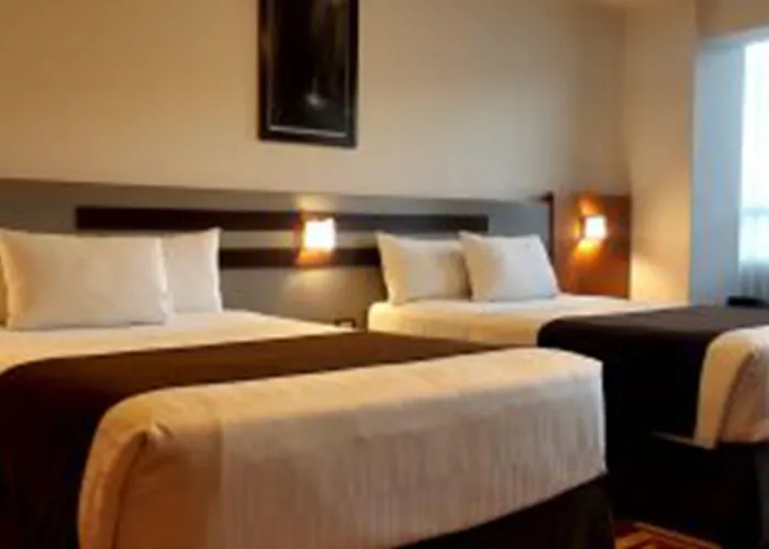 Polo Hotel Cusco